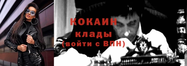 шишки Богородицк